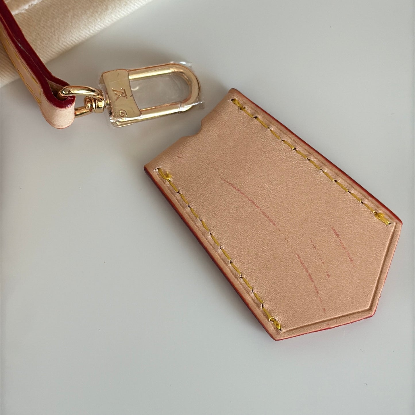 LV bag