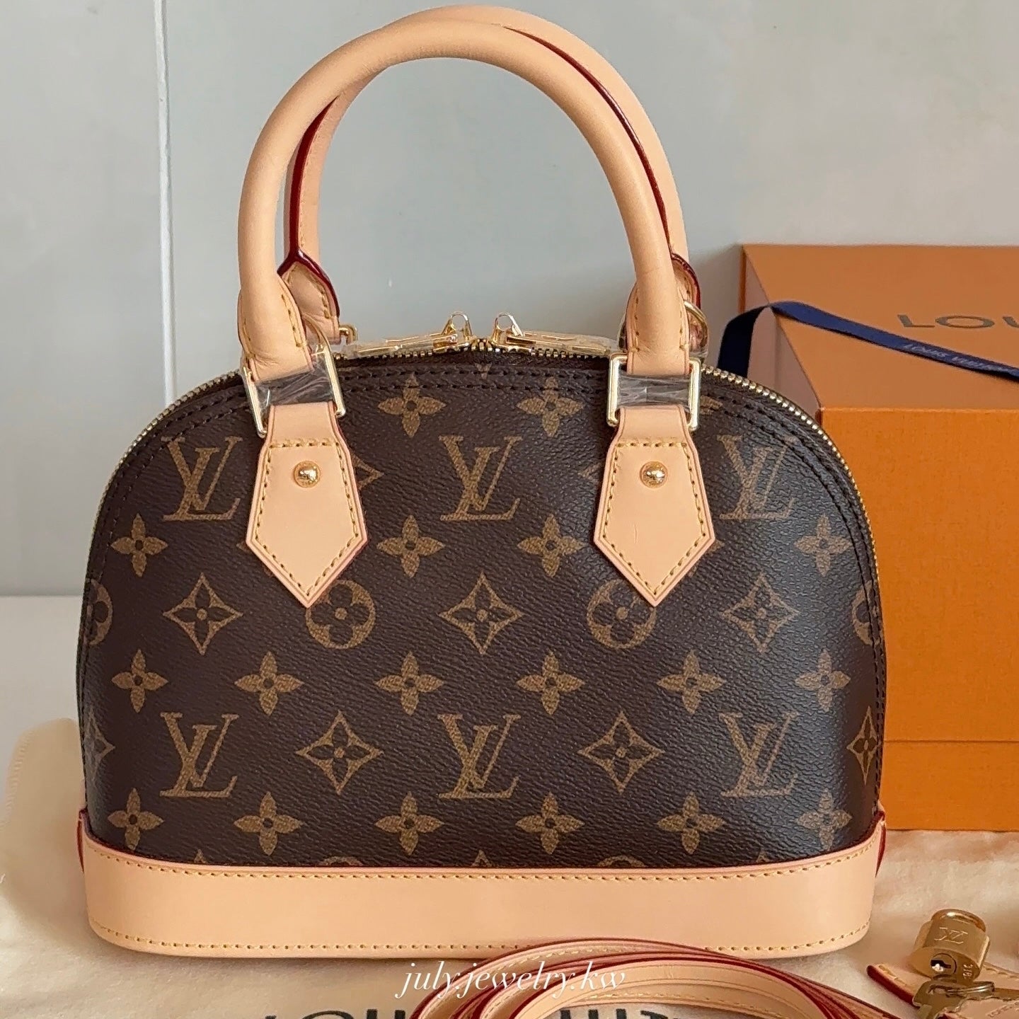 LV bag