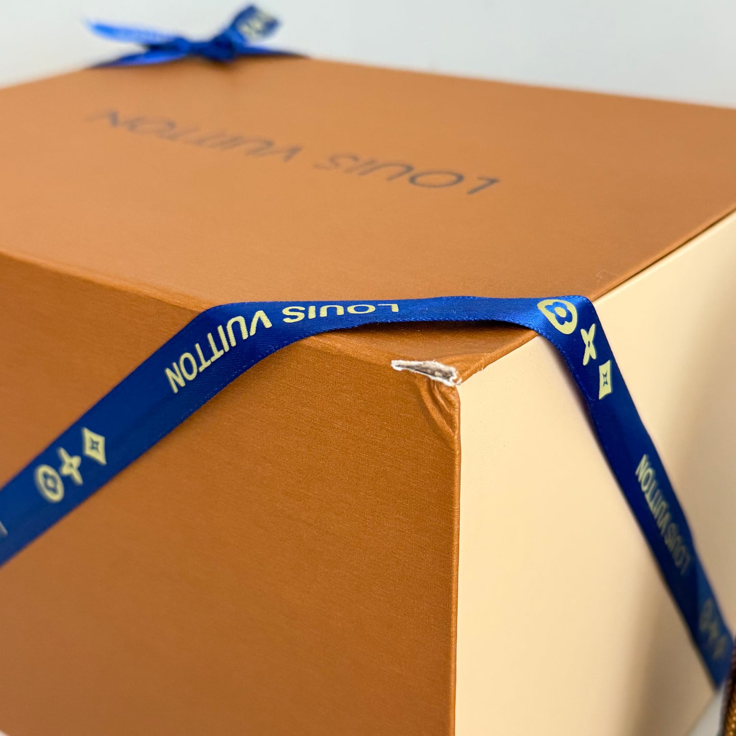 LV bag